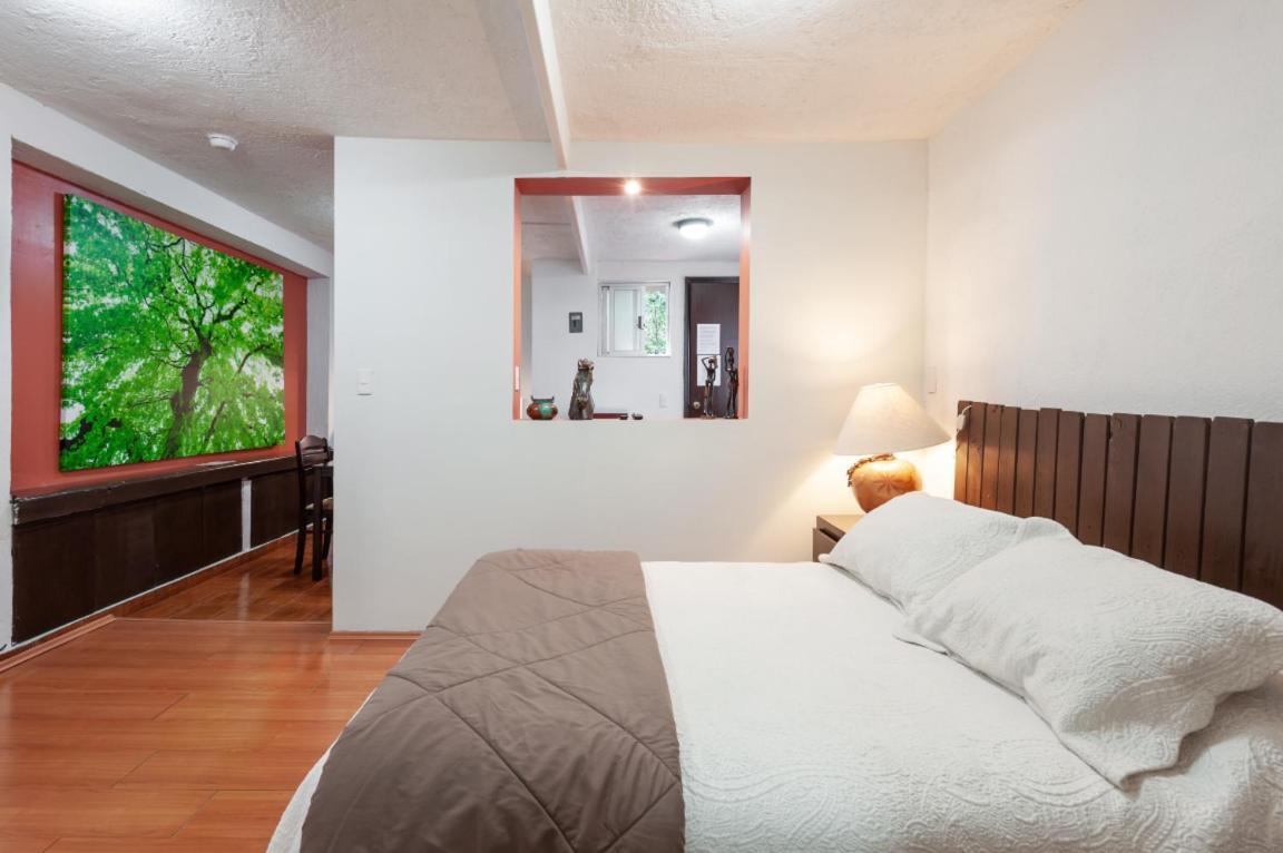 Suite 5A, Altavista, Garden House, Welcome To San Angel Мехико Экстерьер фото
