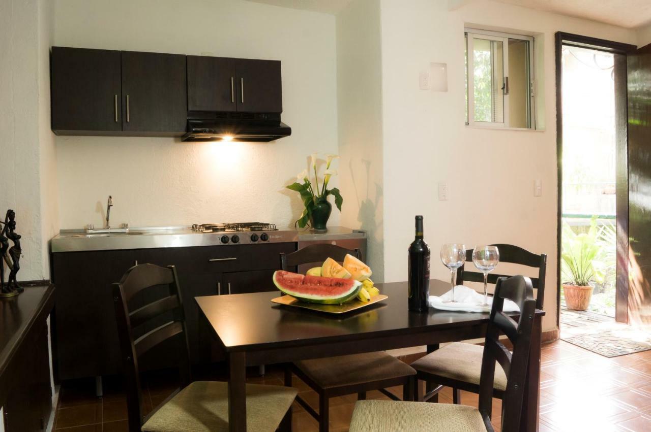 Suite 5A, Altavista, Garden House, Welcome To San Angel Мехико Экстерьер фото