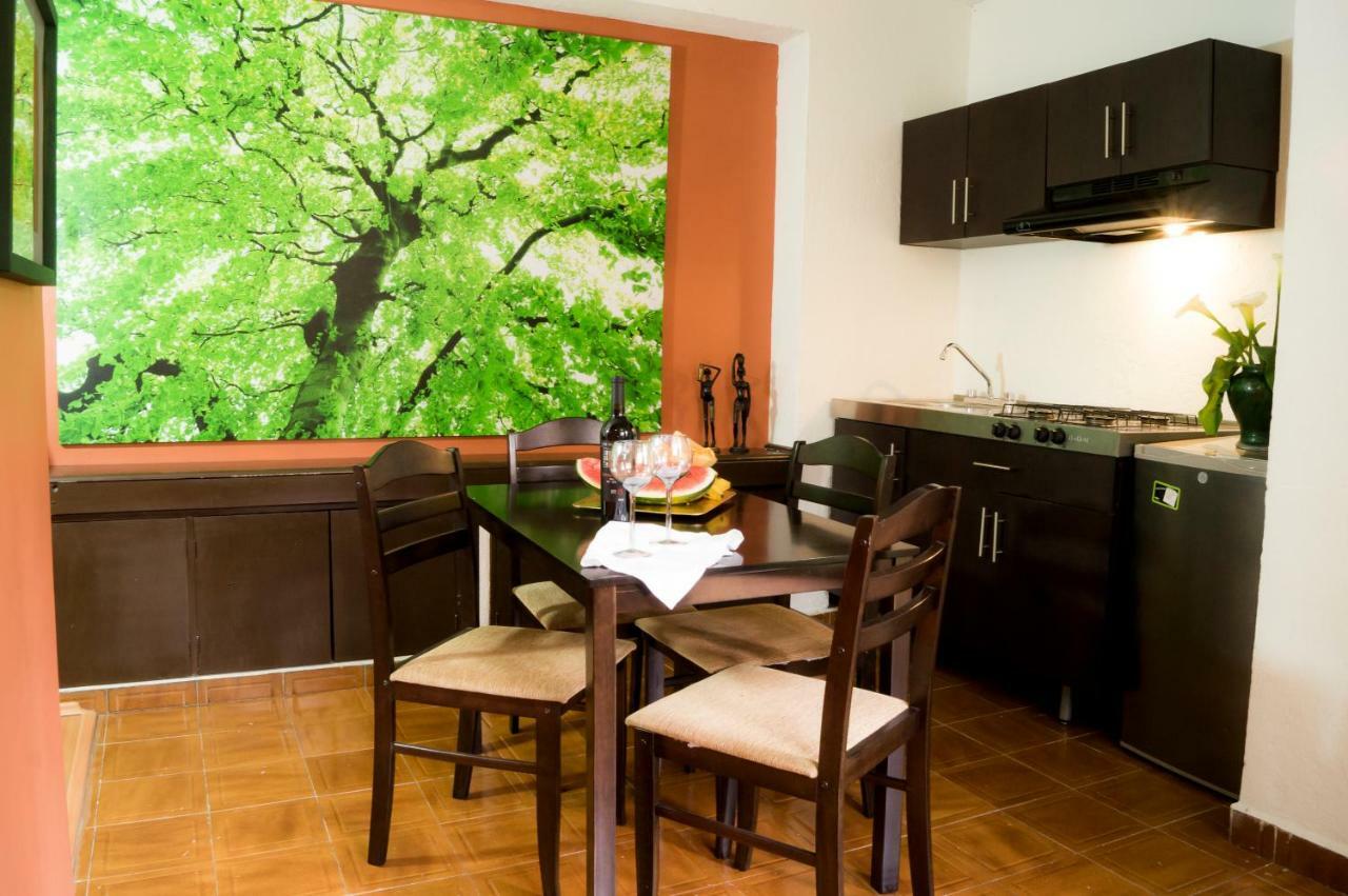 Suite 5A, Altavista, Garden House, Welcome To San Angel Мехико Экстерьер фото