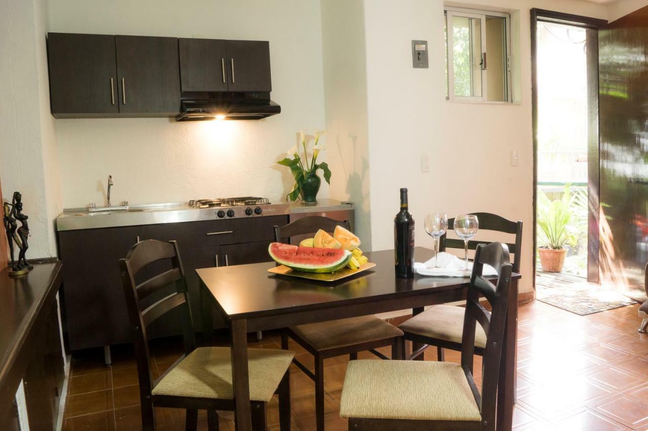 Suite 5A, Altavista, Garden House, Welcome To San Angel Мехико Экстерьер фото