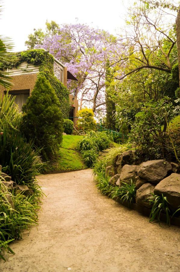 Suite 5A, Altavista, Garden House, Welcome To San Angel Мехико Экстерьер фото